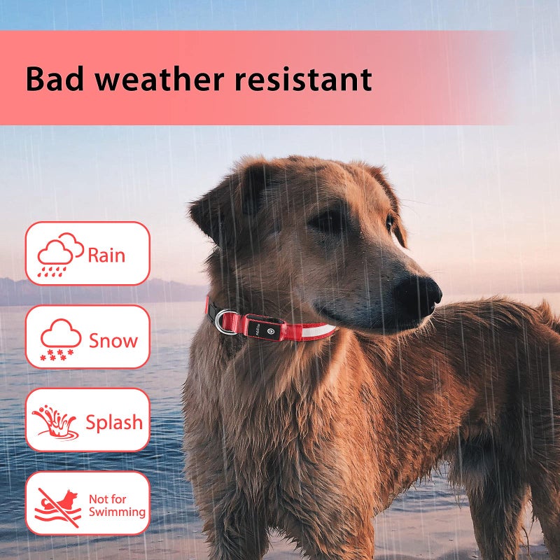 PcEoTllar Light up Dog Collar for Night Walking - LED Dog Collar Light Rechargeable Color Changing, Glow in The Dark Dog Collars Waterproof Glowing Dog Collars for Large Small Medium Dogs - Image 5